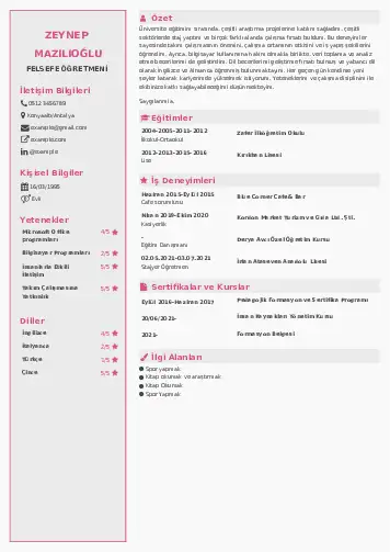 Felsefe Öğretmeni CV Örnekleri cv indir